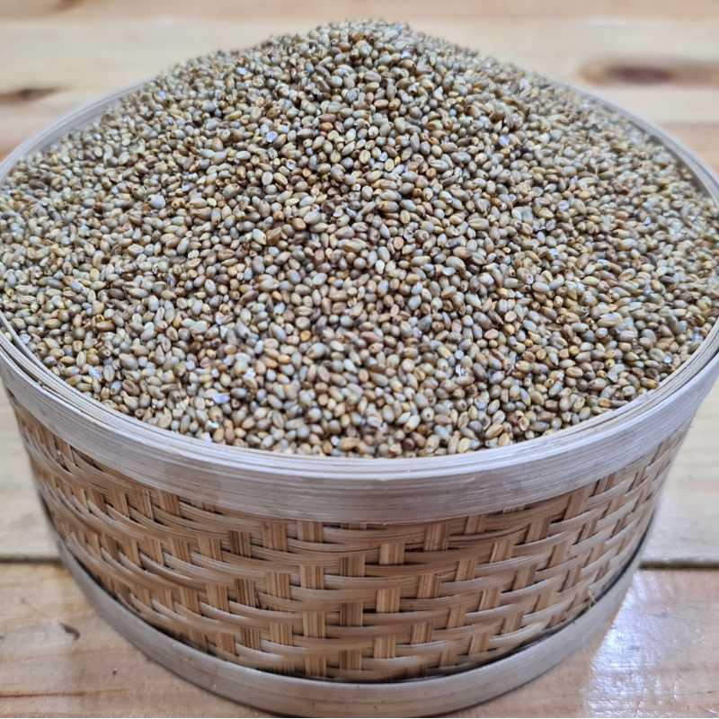 Organic Nattu Kambu / Desi Pearl Millet