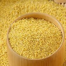 Organic Foxtail Millet/ Thinai