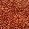 Organic Finger Millet / Ragi / Women-Grown Super Grain – 100% Pure & Naturally Cultivated