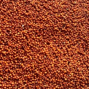 Organic Finger Millet / Ragi / Women-Grown Super Grain – 100% Pure & Naturally Cultivated