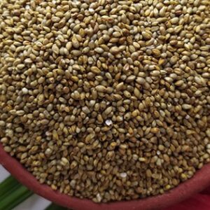 GROXE Select Traditional Desi Pearl Millet (Kambu) | Native Tamil Nadu Grain | 100% Naturally Grown