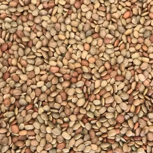 Organic Namakkal Horse Gram (Kollu) – Unpolished, High-Protein, Farm Direct from Farmer Dhanam – 1kg