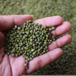 Organic Green Gram (Pachai Payaru) – Direct from Farmer Easwari, Erode | Unpolished, Naturally Grown