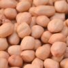 Farm Fresh Groundnut (Peanut) from Kanjikovil, Erode – Direct from Farmer Marimuthu