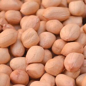 Farm Fresh Groundnut (Peanut) from Kanjikovil, Erode – Direct from Farmer Marimuthu