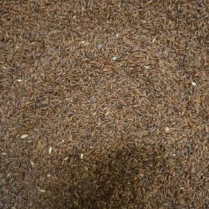 Premium Organic Rathasali Rice – Grown by Thanjavur Farmer Saraswathi