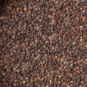 Farm Fresh Red Sesame (Til / Ellu) Seeds from Erode – Direct from Farmer Kumarasamy