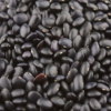 Black Horse Gram (Kollu) – Traditionally Grown | Organic Farmer Selvam, Madurai