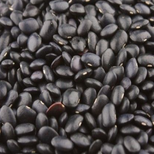 Black Horse Gram (Kollu) – Traditionally Grown | Organic Farmer Selvam, Madurai