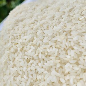 Premium Organic Seeraga Samba Rice – Erode Farmer Govindan’s Harvest