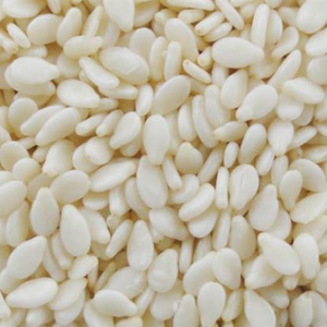 Farm Fresh White Sesame (Til / Ellu) Seeds – Premium Quality