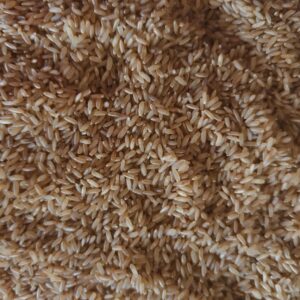 Kaikuthal Ponni Rice – Hand-Pounded Traditional Rice | Direct from Sathyamangalam Farmer