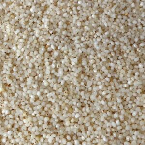 GROXE Barnyard Millet (Kuthiraivali) – Traditional, Naturally Grown | Direct from Farmers