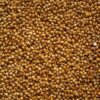 GROXE Kodo Millet (Varagu) – Traditional Millet | High Fiber | Directly Sourced from Farmers
