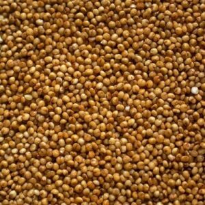 GROXE Kodo Millet (Varagu) – Traditional Millet | High Fiber | Directly Sourced from Farmers