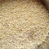 GROXE Proso Millet (Pani Varagu) – Traditional Millet | Naturally Nutritious | Direct from Farmers