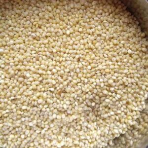 GROXE Proso Millet (Pani Varagu) – Traditional Millet | Naturally Nutritious | Direct from Farmers