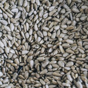 Organic Sunflower Seeds – Farm Fresh | Direct from Farmer Durai, Kavindapadi (Erode)