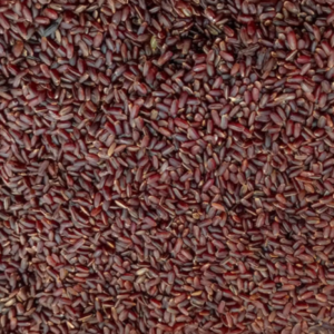 Karunkuruvai Rice – Traditional Black Rice | Direct from Farmers | Nutrient-Rich Heritage Grain